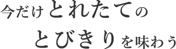 今だけ とれたて の	とびきり を味わう